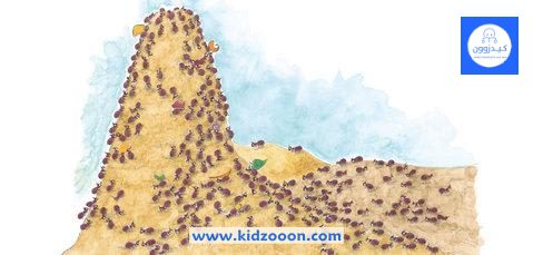 النمل المنهمك11 موقع كيدزوون لأدب وقصص الطفل واليافعين www.kidzooon.com